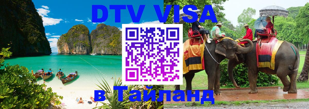 Сколько стоит DTV виза — актуальные цены, оформление даже без документов - Мурманск  20.11.2025 